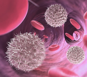 什么是間充質(zhì)干細(xì)胞?