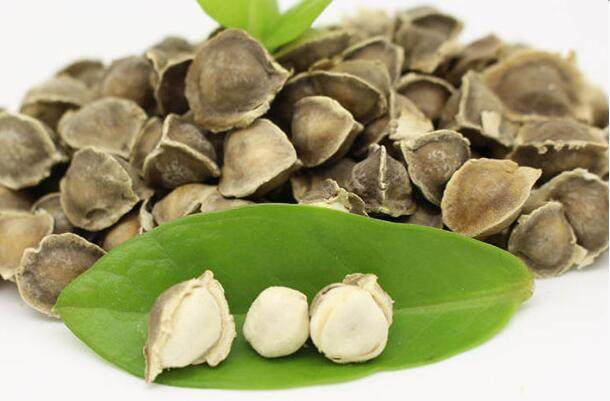 辣木籽的功效與作用有很多,但這5類人群不適合食用