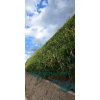 河南景繡專業(yè)承接邊坡綠化 生態(tài)修復(fù) 園林綠化等綠化工程施工