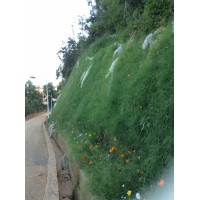 客土噴播植草 礦山修復(fù)項目河南景繡繪遠(yuǎn)