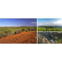 礦山修復(fù)技術(shù) 礦山修復(fù)與治理河南景繡理想之選