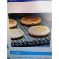 專業生產網帶  網鏈  輸送設備  烘干設備