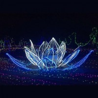 2019都市魔幻燈光節(jié)廠家燈光藝術(shù)節(jié)出租