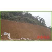 噴播植草多少錢一平方河南景繡質(zhì)優(yōu)價惠