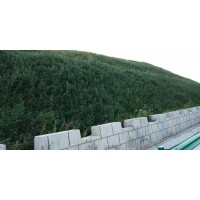 濕法噴播植草 液壓噴播植草 噴播植草護(hù)坡河南景繡