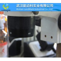 肉桂酸丁酯CAS號:538-65-8