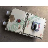 BDZ防爆斷路器 防爆開關(guān)箱 防爆電源箱