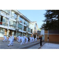 髓友匯易筋洗髓功詳述，“達(dá)摩易筋六式”的功效原理