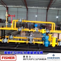 美國fisher299H減壓閥