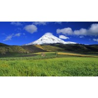 真相曝光！聞道資本不正規！揭開老師喊反單虧得原因！