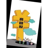 焦點,盈盛咨詢不正規,盈盛咨詢虧損真相揭露