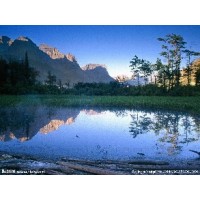 焦點,東財A策略不正規,虧損真相揭露