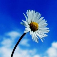 真相揭露！德宏信投不正規(guī)！親身經(jīng)歷講述受騙虧損真相