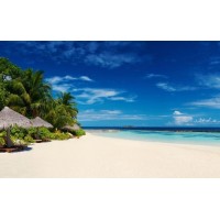 親身講述香港國際葡萄酒交易虧損被騙真相，老師喊單就是一場騙局