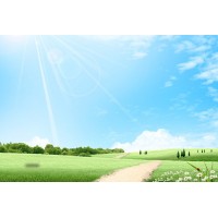 熱點,澤盛策略不正規內幕,財富之勢虧損慘重背后真相曝光