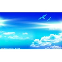 震驚金銀海不正規!老師帶單被騙虧損真相揭露!