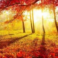 焦點(diǎn),天廣在線不正規(guī),被騙虧損真相揭露