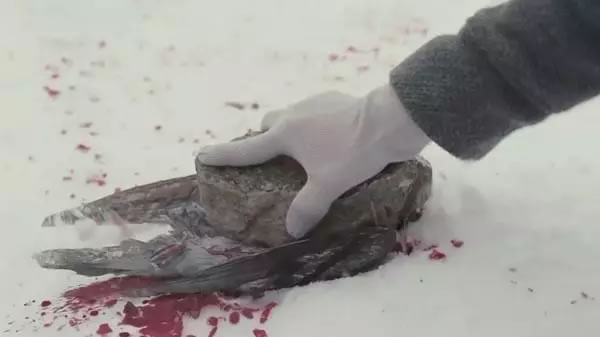 現(xiàn)實(shí)版孤兒怨VS電影版《孤兒怨》現(xiàn)實(shí)永遠(yuǎn)比電影更恐怖，太嚇人了！