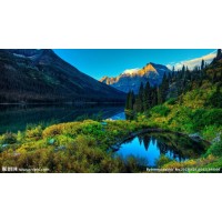 真相揭露！復利期權不正規虧損幾十萬恍然醒悟是場局！