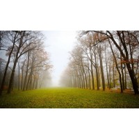 真相揭露易盈資訊不正規！騙局揭露坑我幾十萬事實真相！