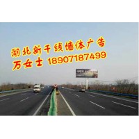 湖北武漢創(chuàng)意墻體店招廣告，湖北武漢戶外廣告牌安裝，武漢軍運(yùn)會(huì)