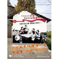 黃石鄉(xiāng)村文化墻彩繪、黃石3D畫立體地面彩繪、黃石店招墻體公司