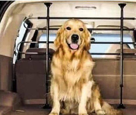 女司機(jī)注意了!往后副駕駛放這個(gè),交警查到扣3分罰款200元