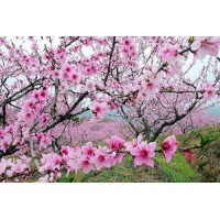 富國資產(chǎn)正規(guī)嗎？虧損慘重內(nèi)幕大曝光！本人親身經(jīng)歷揭露騙局！