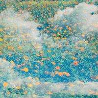 真相揭露世紀(jì)策略不正規(guī)內(nèi)幕！揭揭露騙局真相本人親身經(jīng)歷告誡