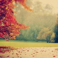 真相揭露滄海社區直播間不正規內幕！揭露騙局真相本人親身經歷