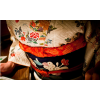 威爾思翻譯公司提供專業的日語翻譯