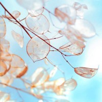 真相揭露永利資管正規(guī)靠譜嗎？騙局揭秘坑我?guī)资f!難友速來