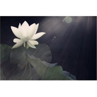 易路商城正規嗎？騙局大曝光被騙虧損內幕大揭秘！