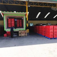 菜心保鮮真空預冷機的重要性