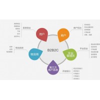 到底什么是B2B2C呢？