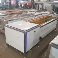 毛輥清洗機 豬蹄毛輥清洗機 根莖類毛刷輥清洗設備