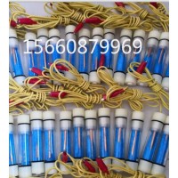 陰極保護(hù)檢測專用硫酸銅參比電極