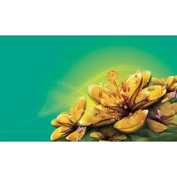 創元期貨虧損騙局韓高遠一手為之，牛鼎天直播間遍地挖坑