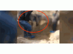 陜西男子將79歲癱瘓母親扔廢棄墓坑活埋,到底是怎么回事?