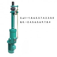 DT300整體直式電動(dòng)推桿輸煤系統(tǒng)電動(dòng)推桿