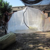 大廠(chǎng)家供應(yīng)螞蚱網(wǎng)加厚全新料螞蚱養(yǎng)殖網(wǎng)結(jié)實(shí)耐用