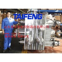 山東泰豐供應(yīng)90兆帕高壓插裝閥 廠家直供 歡迎垂詢