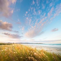 曝光江蘇太湖商品交易中心不正規！揭露劉青云帶單坑我幾十萬真相