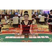 新百勝正規網投實體平臺APP官方版下載