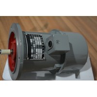 ZYS-6A 步尊永磁式直流測速發(fā)電機