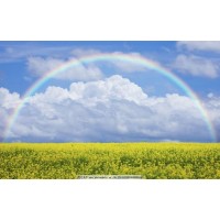 真相揭秘容維財經(jīng)不正規(guī)!曝光被騙幾十萬真相!本人親身訴說