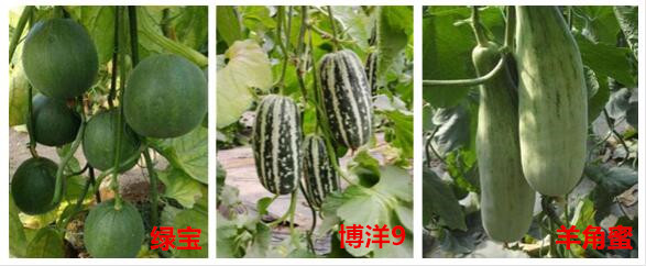 點(diǎn)擊打開(kāi)原圖 QQ截圖20201105103031_副本