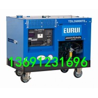 原裝進口東洋柴油發電機TDL26000TE