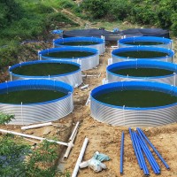 高密度水產(chǎn)養(yǎng)殖池 鐵桶支架鍍鋅板水池 養(yǎng)蝦圓形帆布魚(yú)池