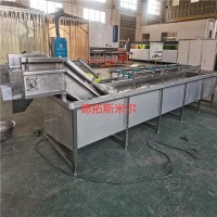 定制果蔬氣泡清洗機